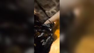 Studygreed AKA Fascist.eth Naked In Peetub Licking Dirty Fat Dude
